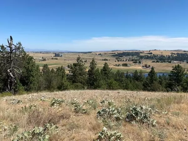 Medical Lake, WA 99022,156xxx W Silver Lake Rd Lot 9069 Rd