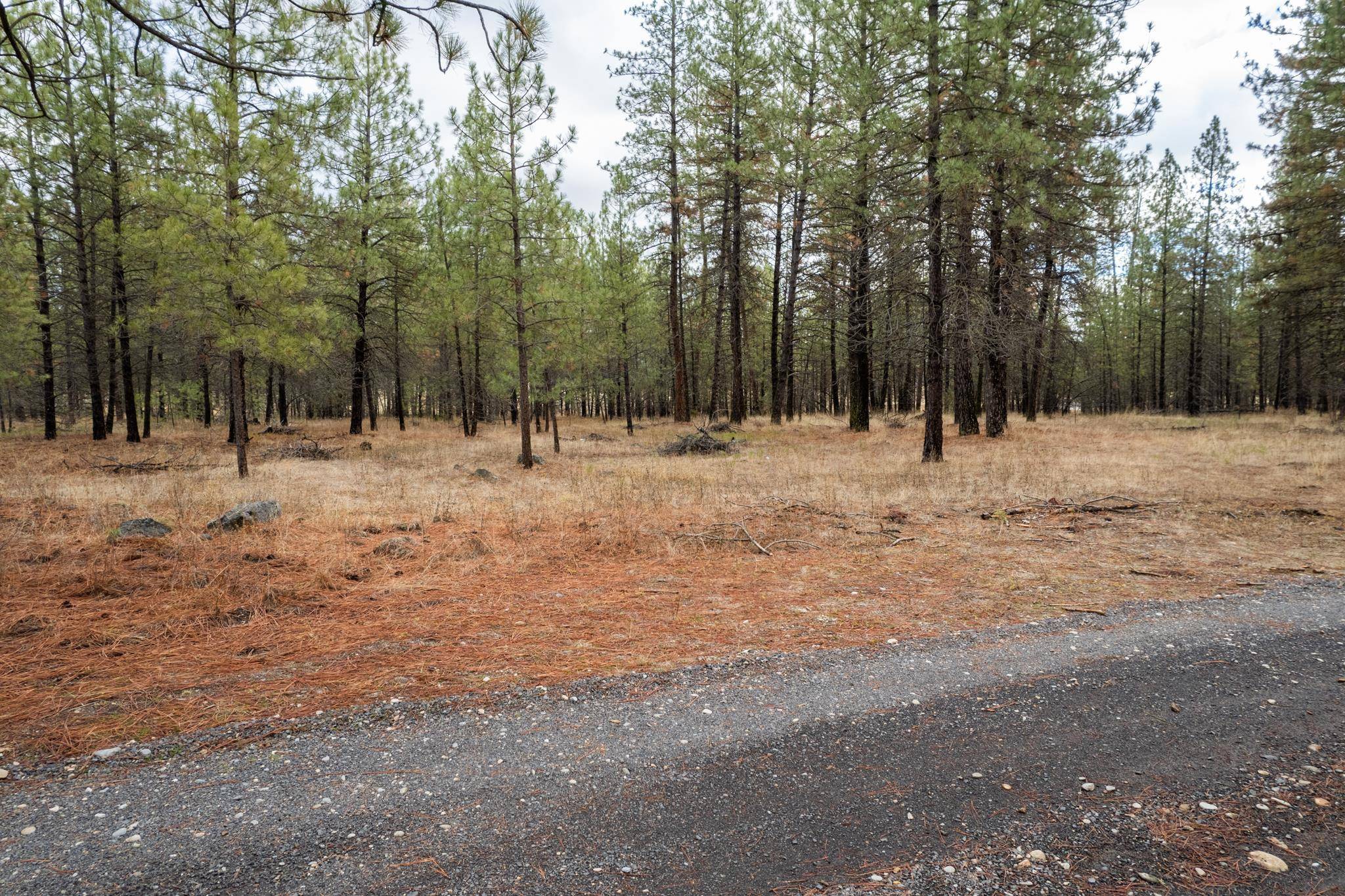 Ford, WA 99013,52282 Woods Ln