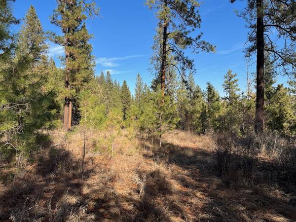 Lot 2 Wapiti/Bob White Ln, Davenport, WA 99122