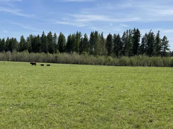 29210 N Spotted Rd #Parcel D, Deer Park, WA 99006