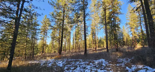 Rice, WA 99167,34XX Daisy Mine Rd