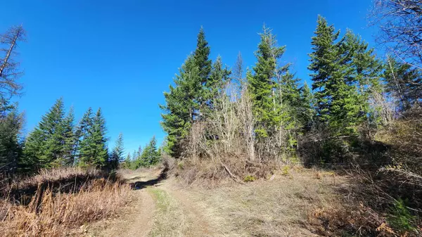 Mead, WA 99021,18xxx E Eagle Ridge Ln