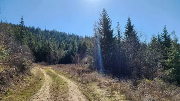 Mead, WA 99021,18xxx E Eagle Ridge Ln