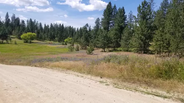 Deer Park, WA 99006,Lot 1 Glen Grove-Staley Rd