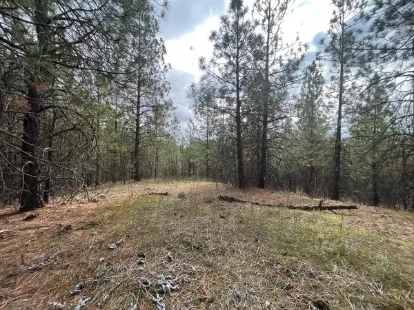 Spokane, WA 99224,5273 S Dorset Rd #Approximate