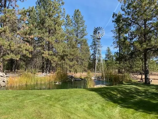 Chattaroy, WA 99003,3511 E Elena Ln