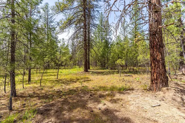 Nine Mile Falls, WA 99026,6570 Kate Dr