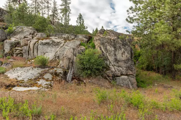 Tumtum, WA 99034,7174 Highway 291 Hwy