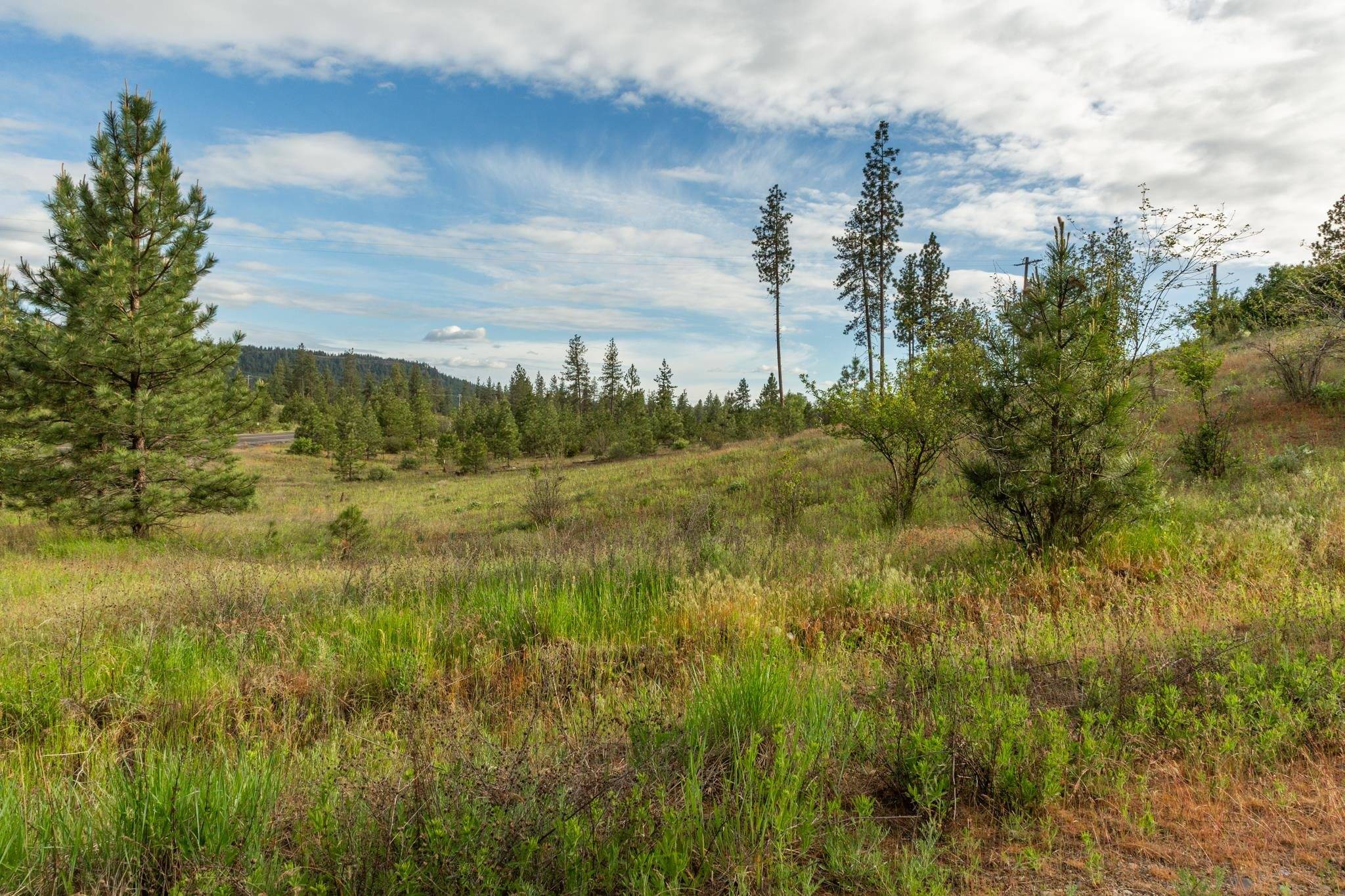 Tumtum, WA 99034,7174 Highway 291 Hwy