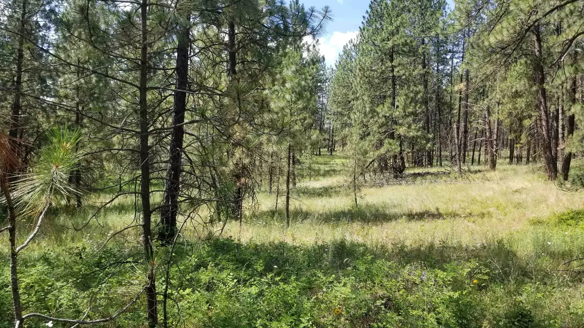 Deer Park, WA 99006,Lot 1 Glen Grove-Staley Rd