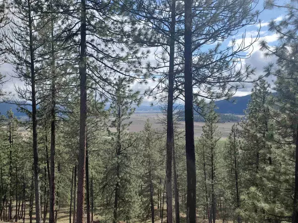 Chewelah, WA 99109,717 SNEAD Dr