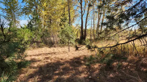 Deer Park, WA 99006,000 W Spring Creek Rd