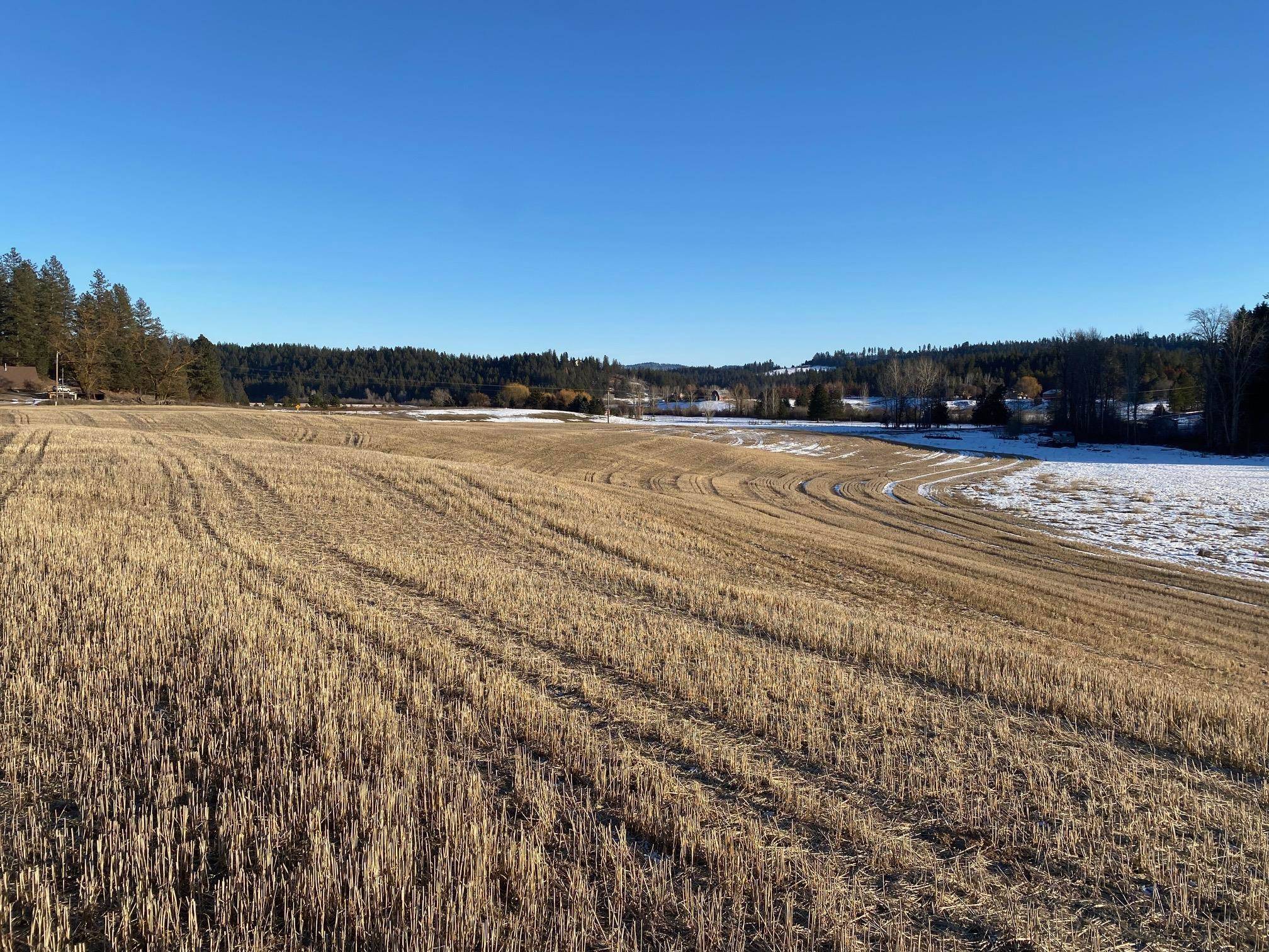 8984 E Little Deep Creek Ln, Colbert, WA 99005