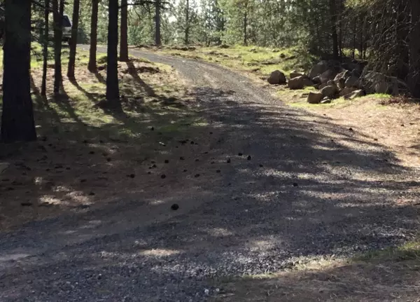 Nine Mile Falls, WA 99026-5109,6573 Stony WAY