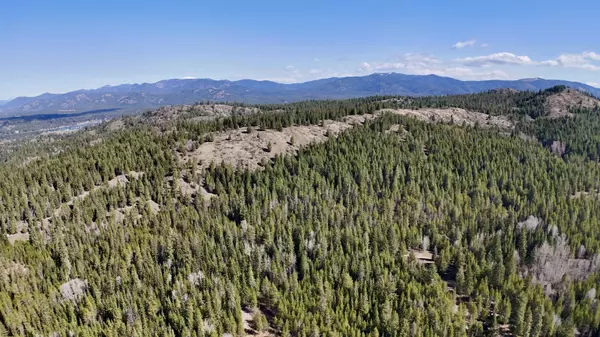 Newport, WA 99156,223 Antler Ln