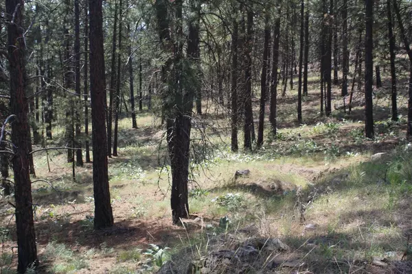 Davenport, WA 99122,Pine Forest 1 Sontag Ridge Dr