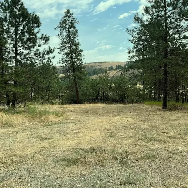 Davenport, WA 99122,Lot 2 Scotch Broom S/P Ln