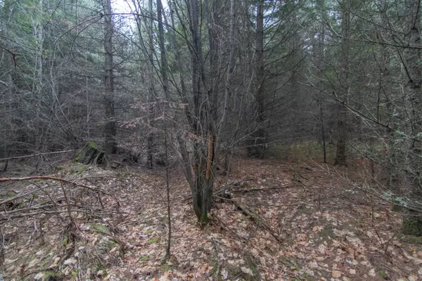 Elk, WA 99009,NKA Thompson Rd