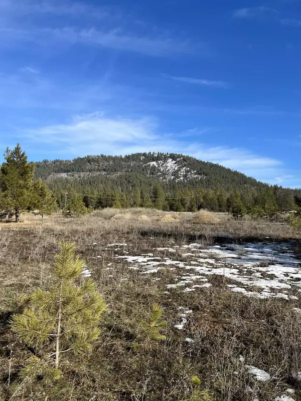 4115 A Maple St, Loon Lake, WA 99148