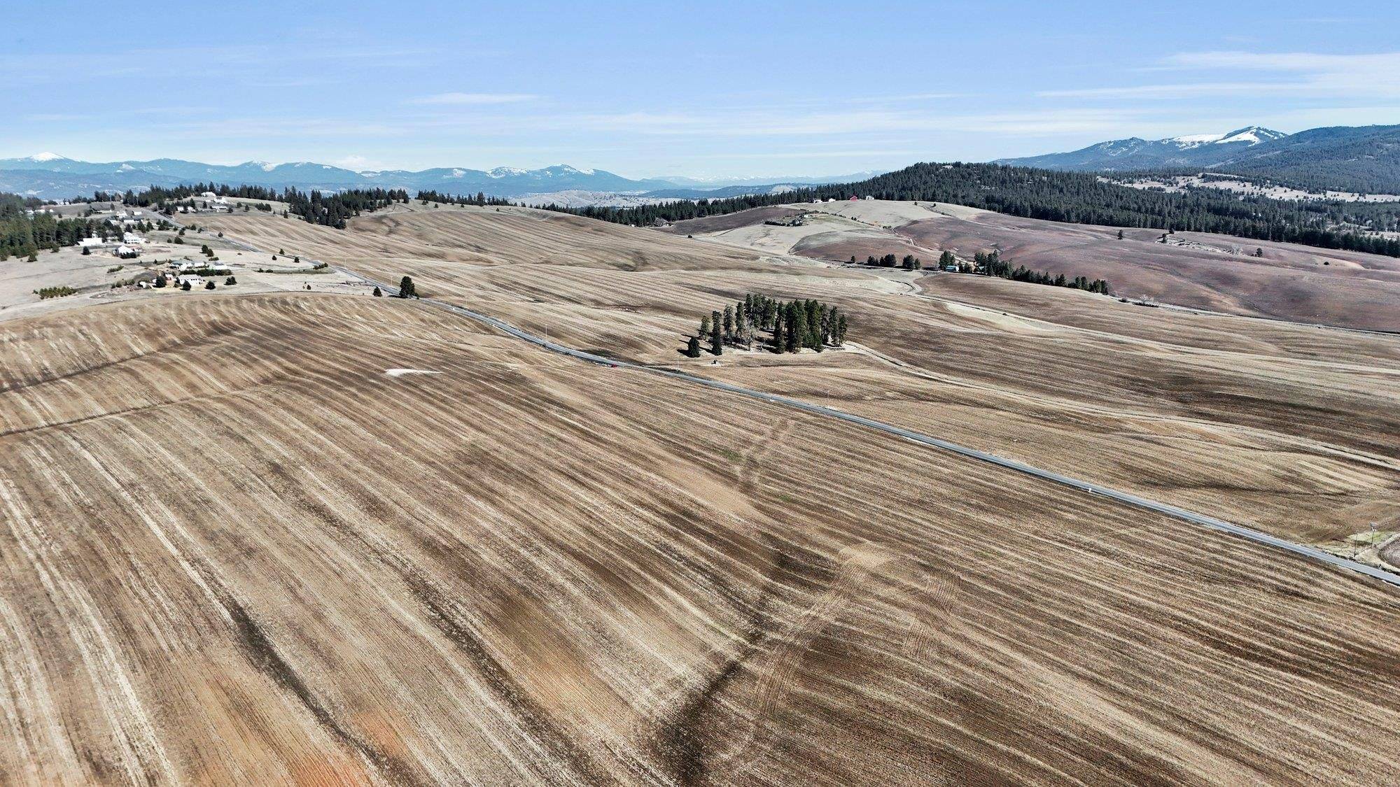 Mica, WA 99023,S 8008 Jackson Rd
