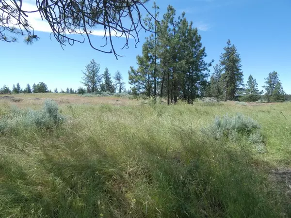 Cheney, WA 99004,211xx S Harrison Rd