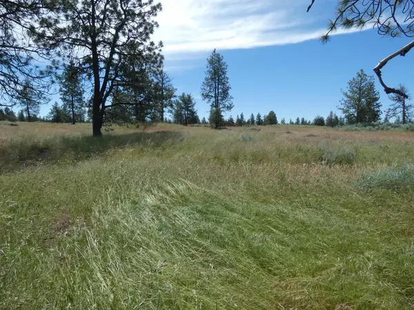 Cheney, WA 99004,211xx S Harrison Rd