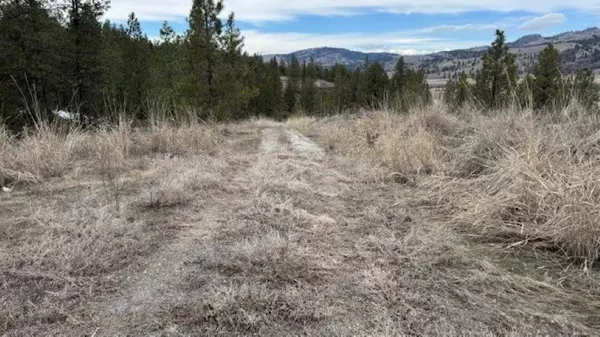 Other, WA 98855,132 Aeneas Valley Rd