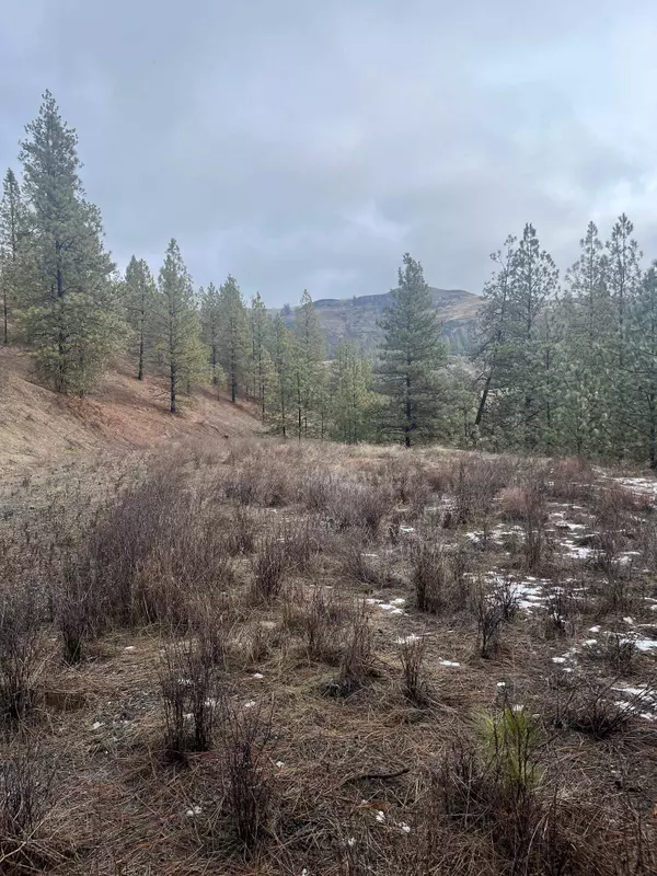 Davenport, WA 99122,Lot 1 Aspen s/p Blue Grouse Dr