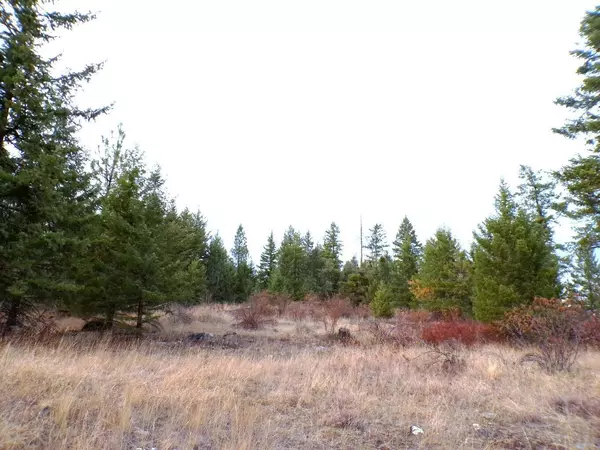 Inchelium, WA 99138,#M Morning Star Ln