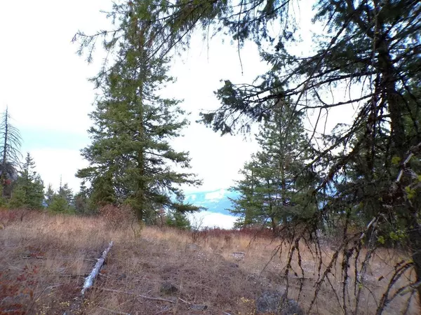 Inchelium, WA 99138,#M Morning Star Ln