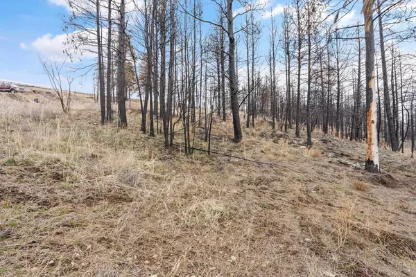 Medical Lake, WA 99022,15312 W SILVER LAKE Rd