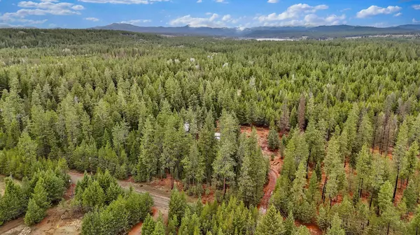 Chattaroy, WA 99003,3707 E Bailey Rd