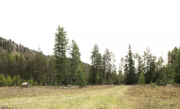 Cusick, WA 99119,68 Arthurs Blvd