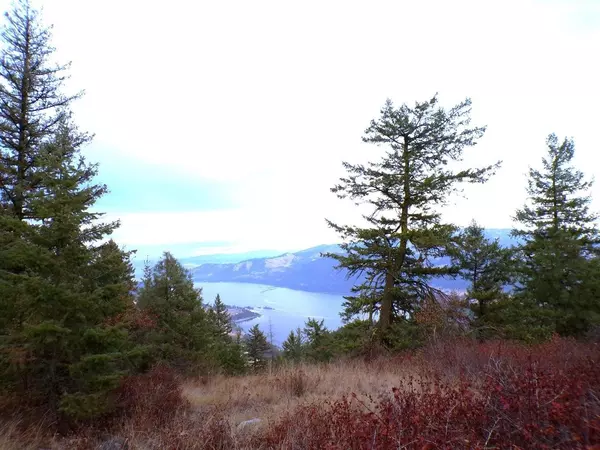 #N Morning Star Ln, Inchelium, WA 99138