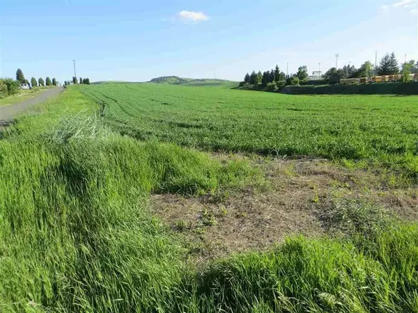 Reardan, WA 99029,xxxx S Central St