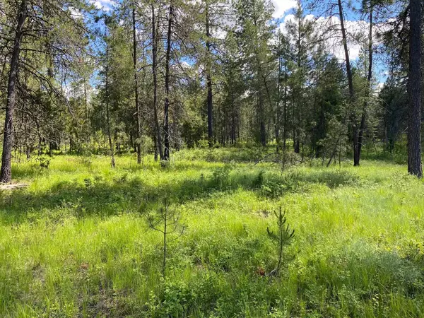 Deer Park, WA 99006,2400 W Montgomery Rd #Lot B