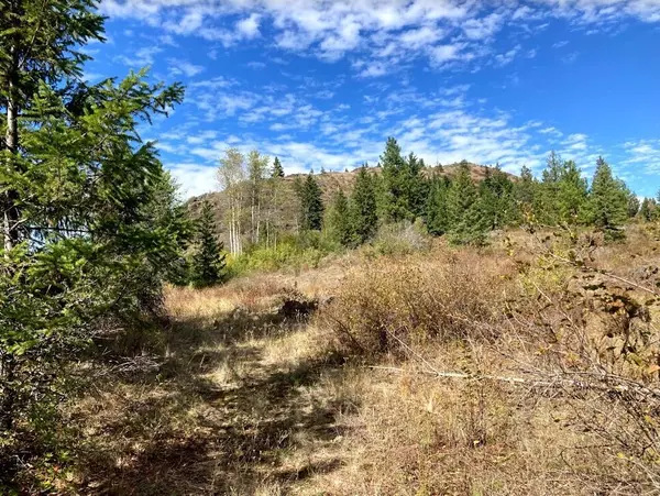 Ione, WA 99139-0000,NKA N LeClerc Rd