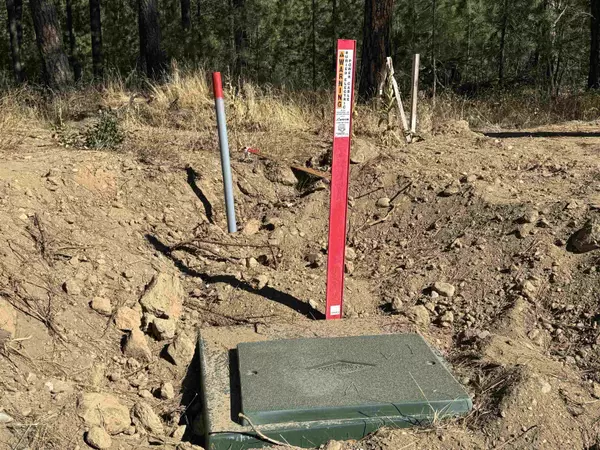 Springdale, WA 99173,600 N A St #Lot #3