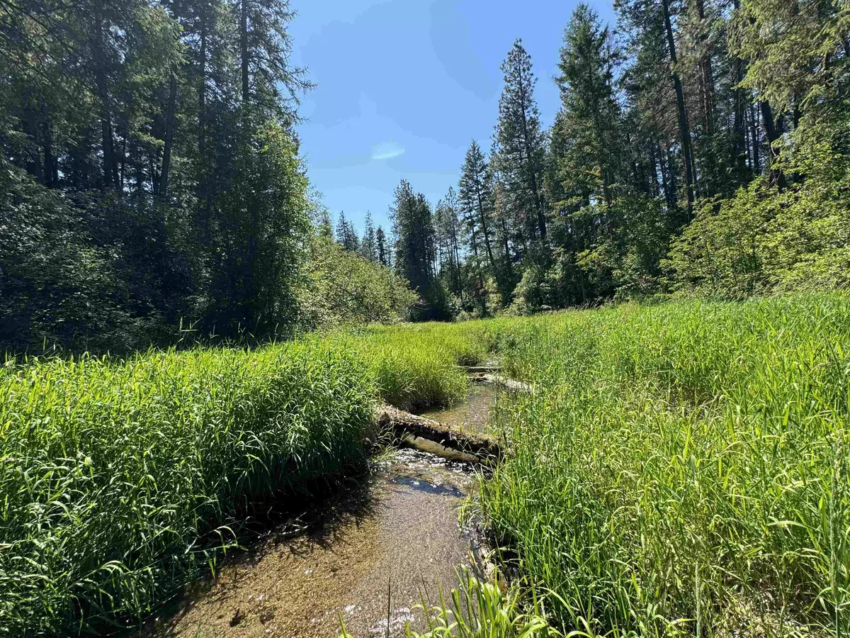 Springdale, WA 99173,340 N Beck Ln #Lot #9