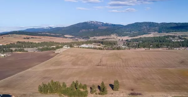 13111 E Gibbs Rd, Mica, WA 99023