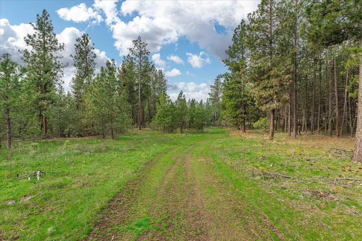 Spangle, WA 99031,15806 S Stentz Rd