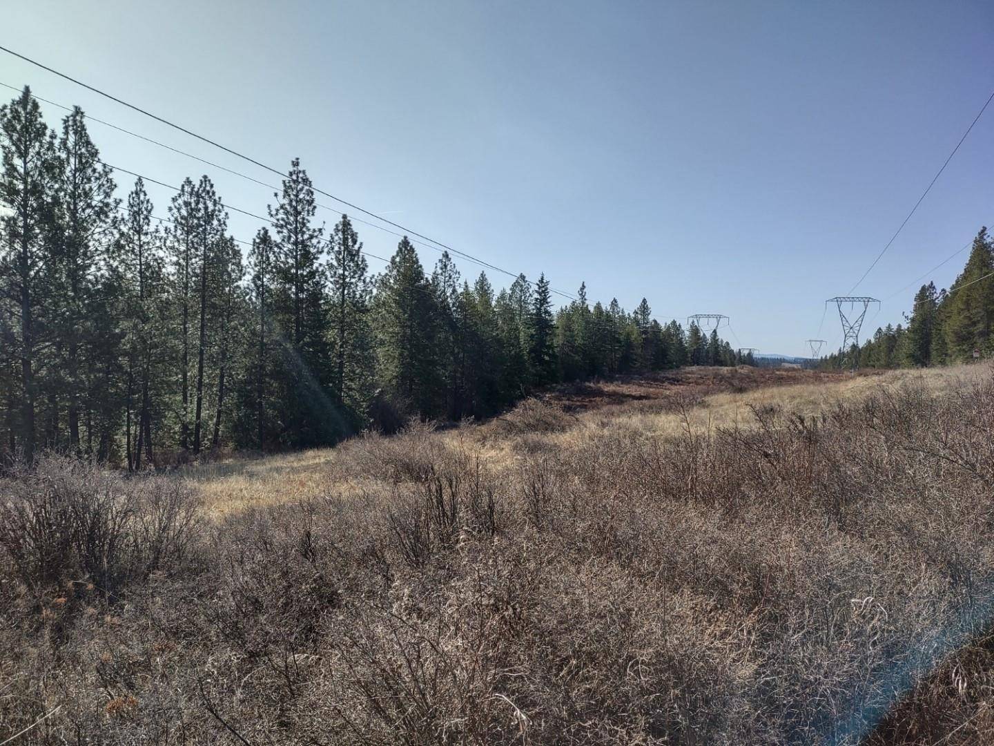 Elk, WA 99009,xx Waldron Ln