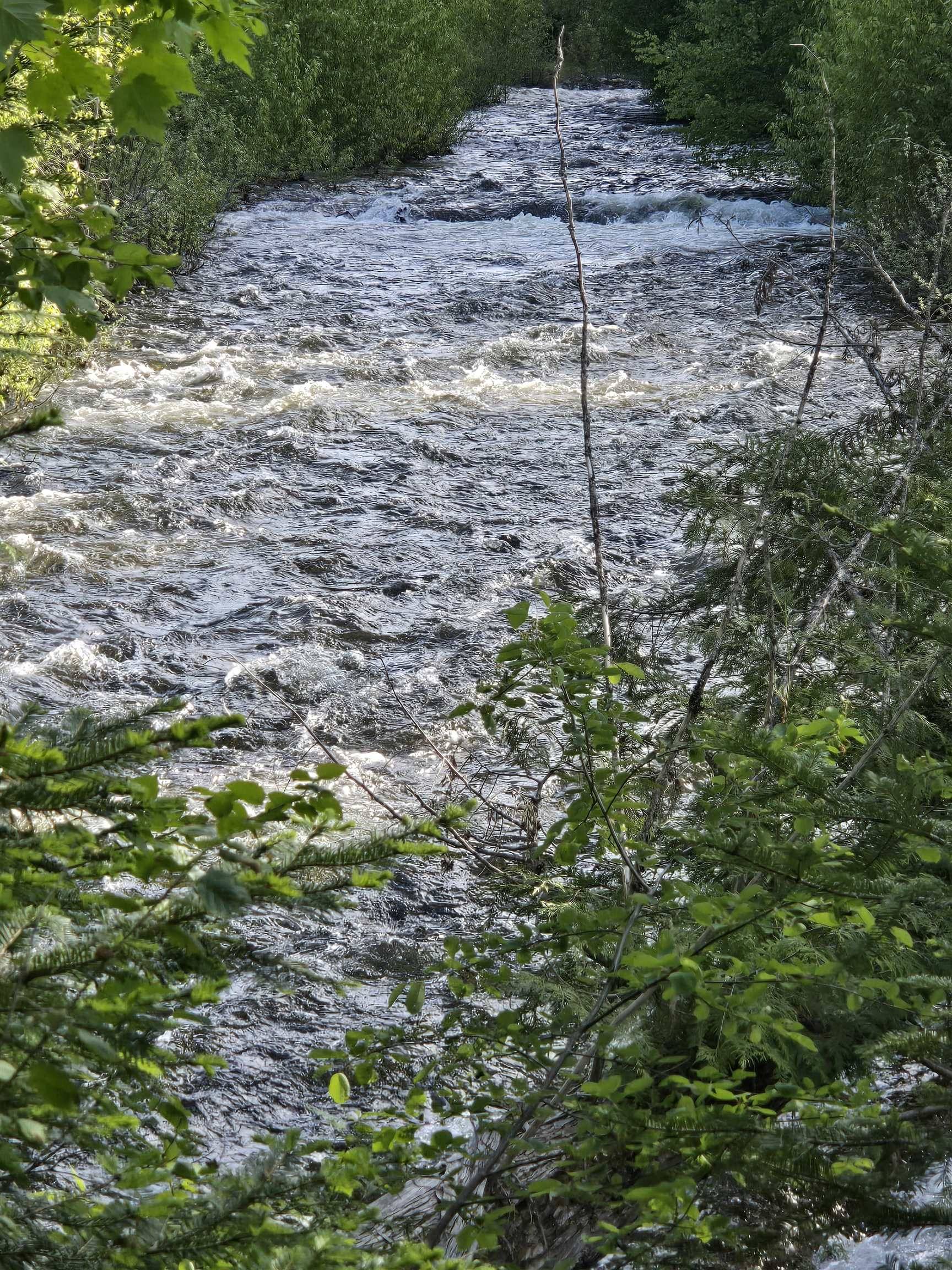 Ione, WA 99139,7062 Sullivan Lake Rd