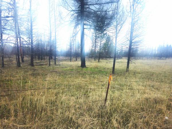 000 Frideger      49013.9036 Rd, Elk, WA 99009