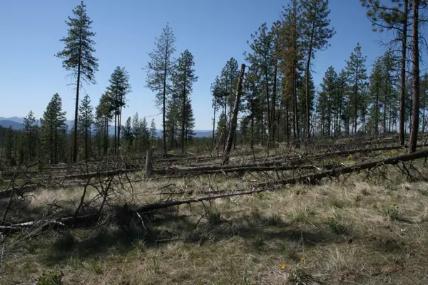 Fruitland, WA 99129,00 Coyote Canyon Rd