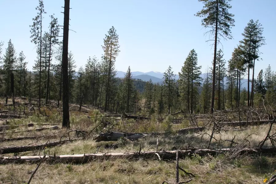 00 Coyote Canyon Rd, Fruitland, WA 99129