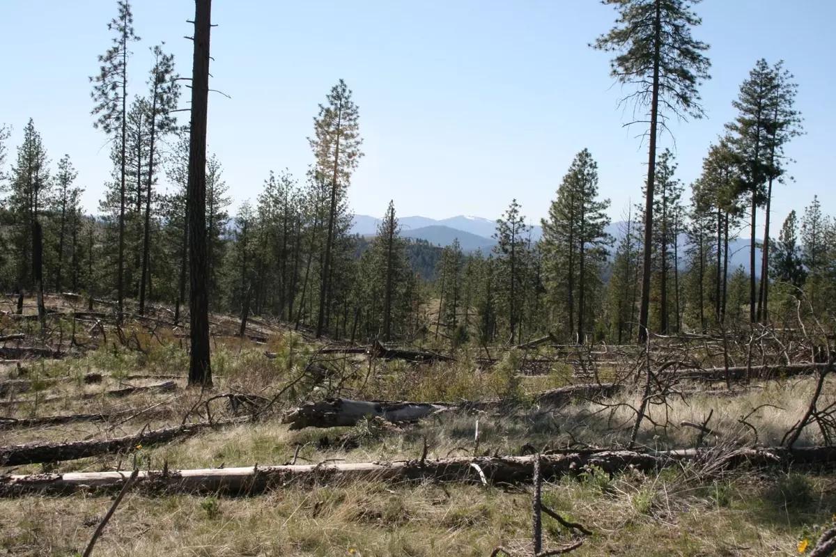 Fruitland, WA 99129,00 Coyote Canyon Rd