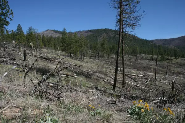 Fruitland, WA 99129,00 Coyote Canyon Rd