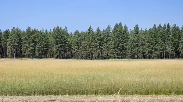 Spangle, WA 99031,NNA S Parker Rd #parcels 33303.9058, 33316.9059