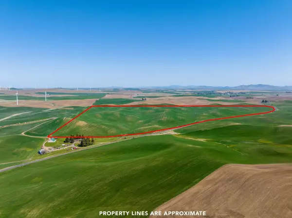 Oakesdale, WA 99158,X Oakesdale Rd